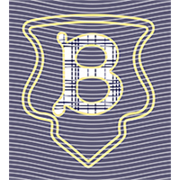 Brand Catalog-ZX 315